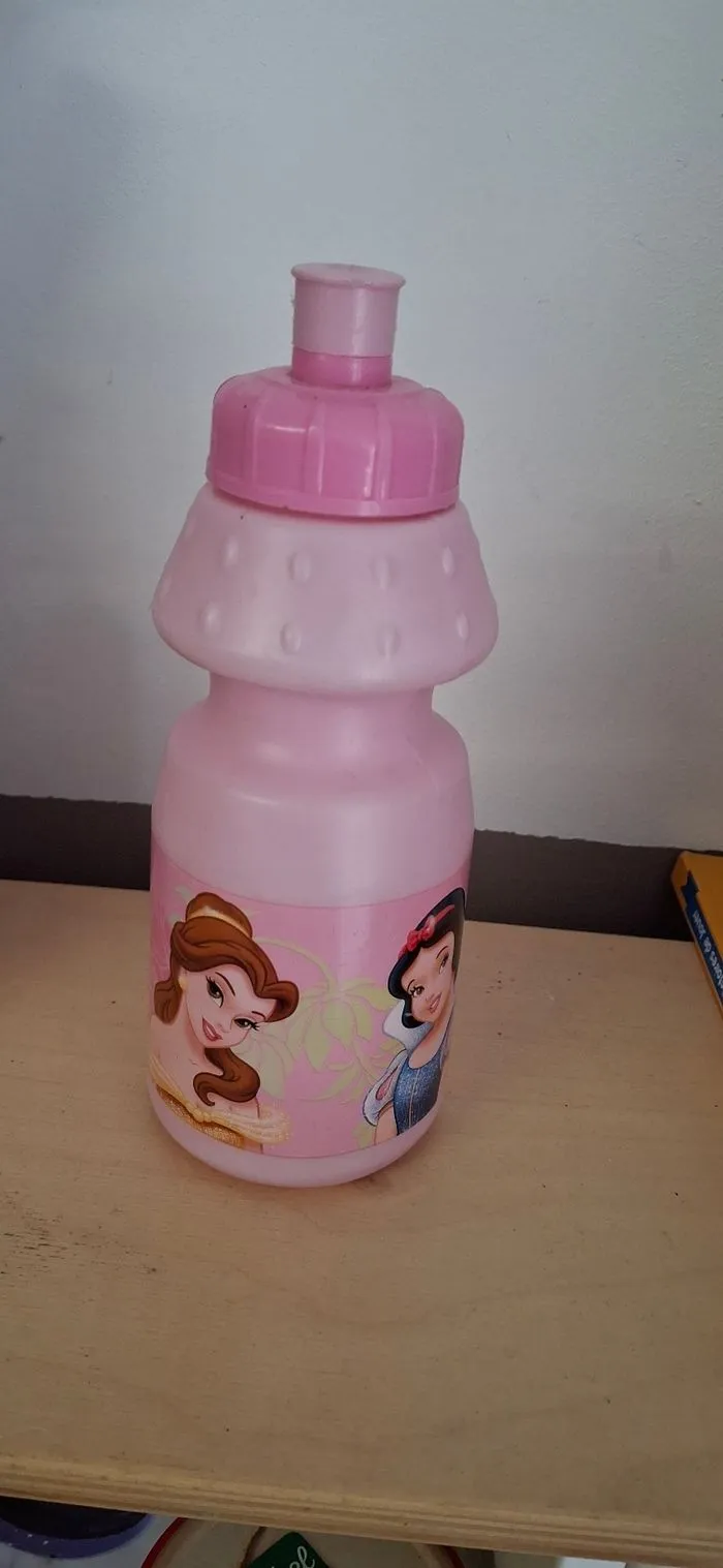 Gourde princesse disney 