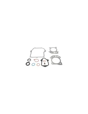 Kit joints moteur pour Briggs & Stratton 595350