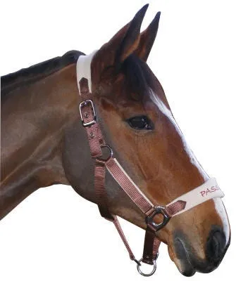 Licol confort cheval Chocolat