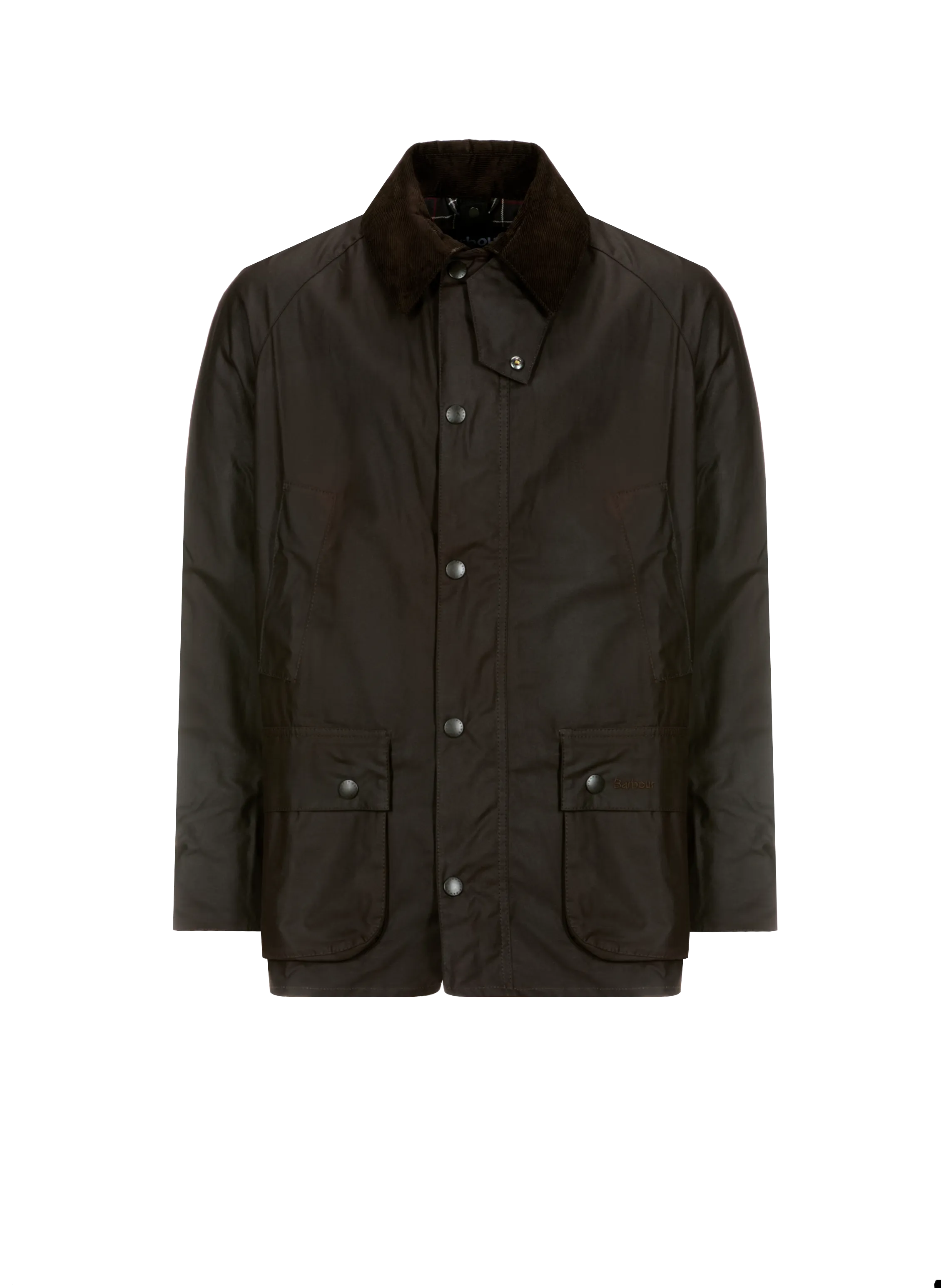PARKA CINTRéE EN COTON - BARBOUR pour HOMME | Printemps