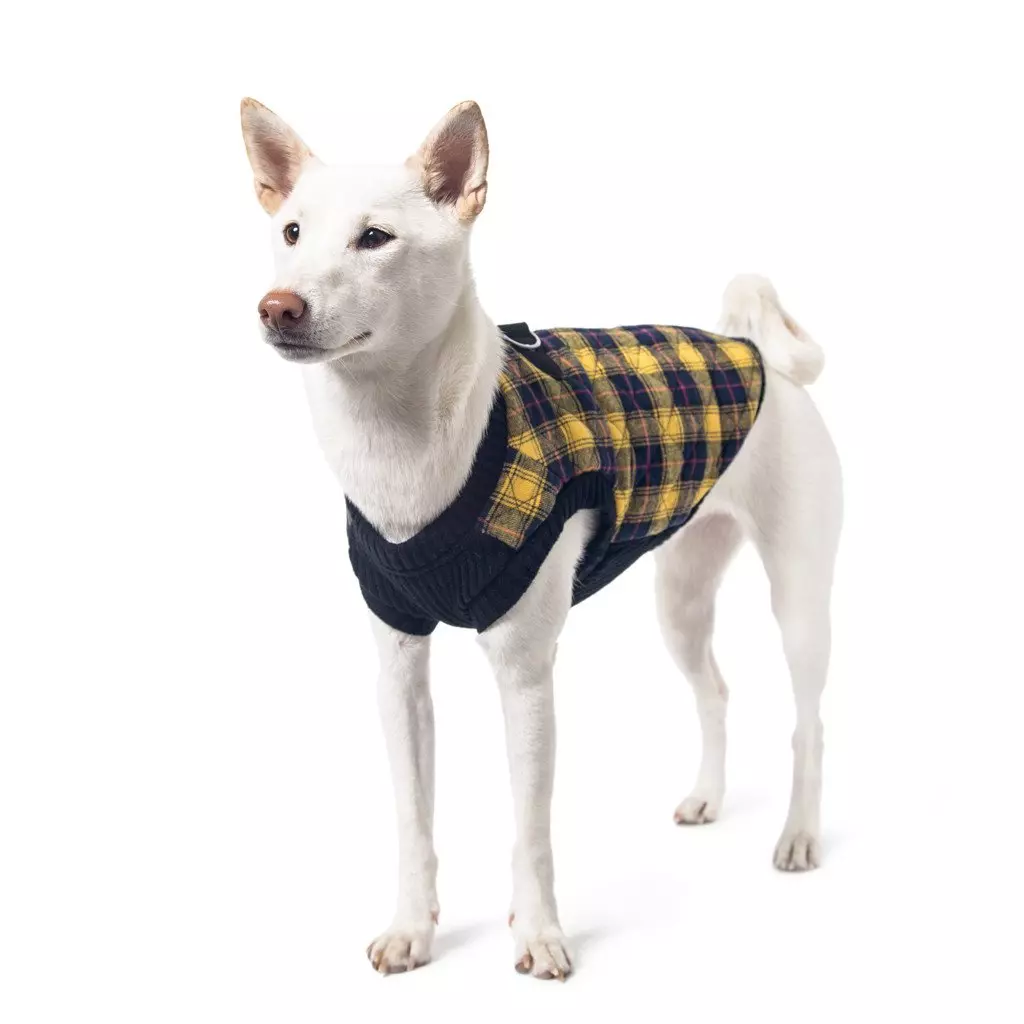 Veste Fashion Jaune écossaise