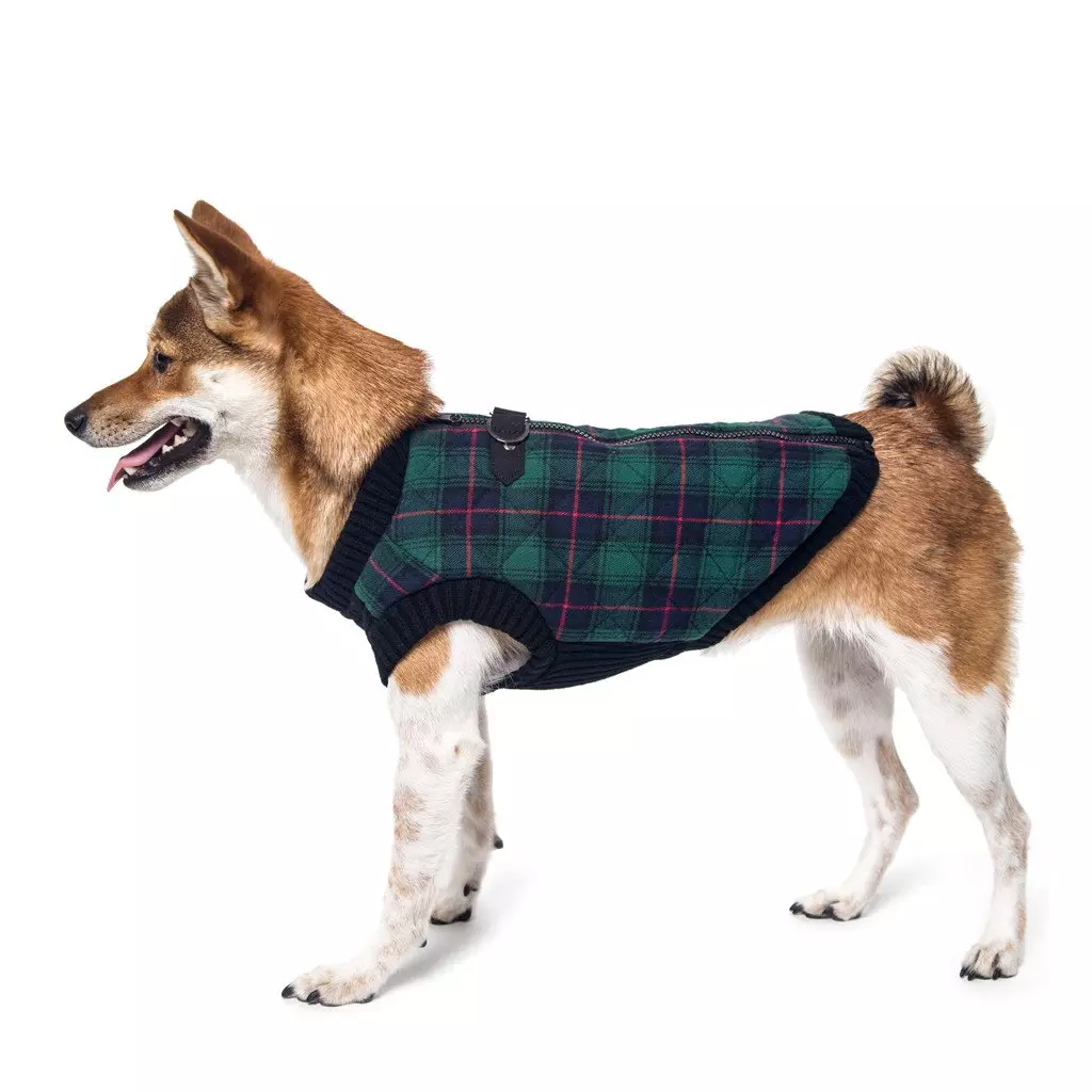 Veste Fashion Verte écossaise