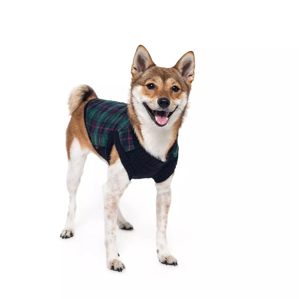 Veste Fashion Verte écossaise