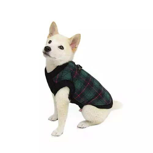 Veste Fashion Verte écossaise